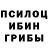 Псилоцибиновые грибы Magic Shrooms Orrwatr