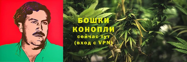 винт Арсеньев